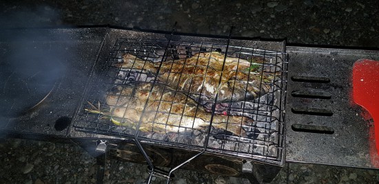 20180508_214837.jpg