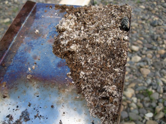 А золы всего чуть-чуть