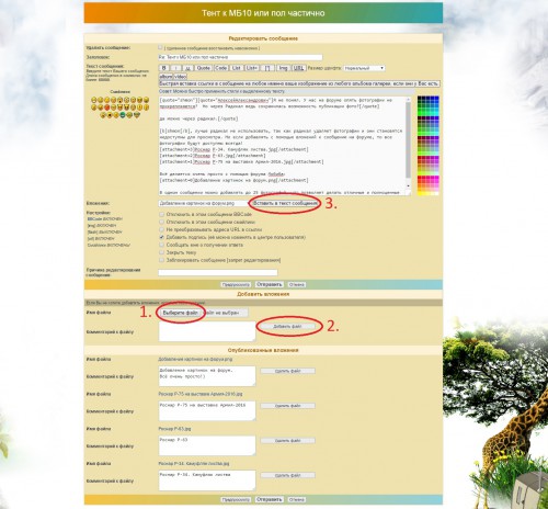 Добавление картинок на форум.jpg