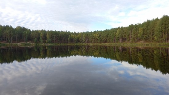 20220918_073856.jpg