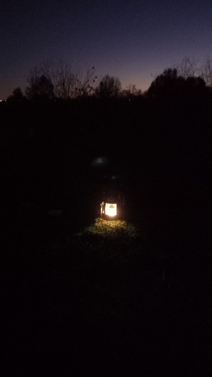 20221016_180442.jpg