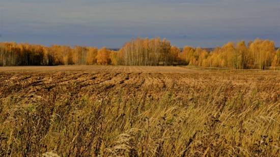 DSC05070.JPG