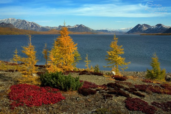 1649144815_87-vsegda-pomnim-com-p-magadan-priroda-foto-90.jpg