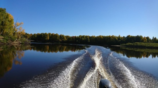 10. всегда в движении.jpg